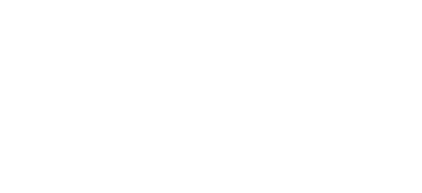 Promil Detoks